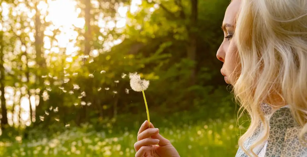 COVID-19/Respiratory Recovery closeup of young woman blowing dandelion seeds 3GHRA8N cropped scaled 1 covid-19/respiratory recovery uncategorized